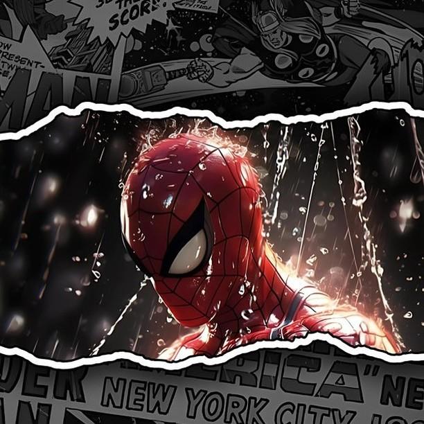 spiderman_wallpaper_theartion-598668.jpg