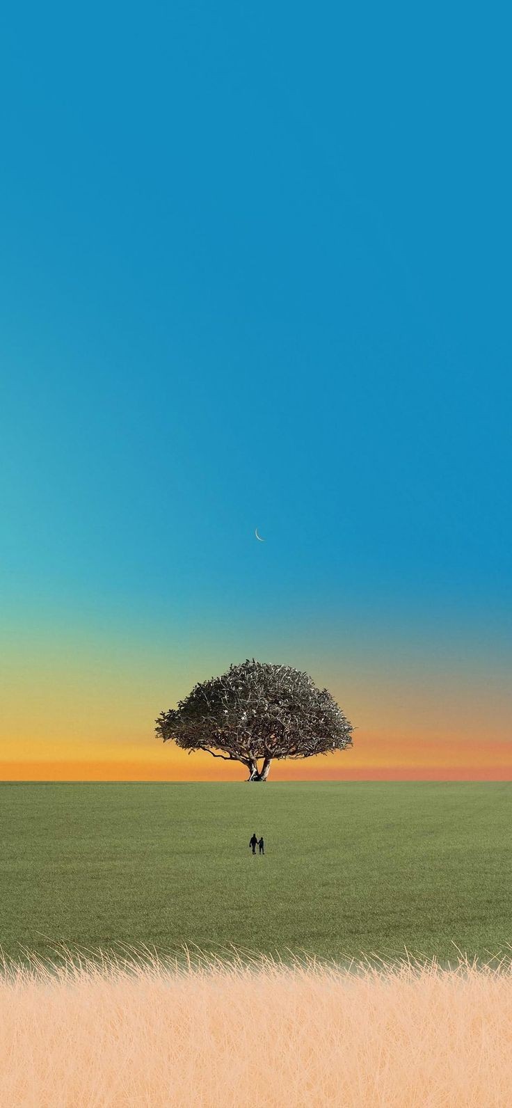 nature-688936.jpg