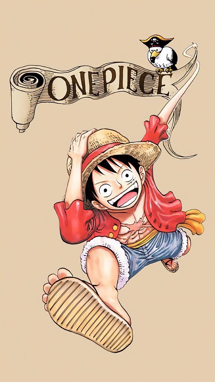 one_piece_one-227629.jpg