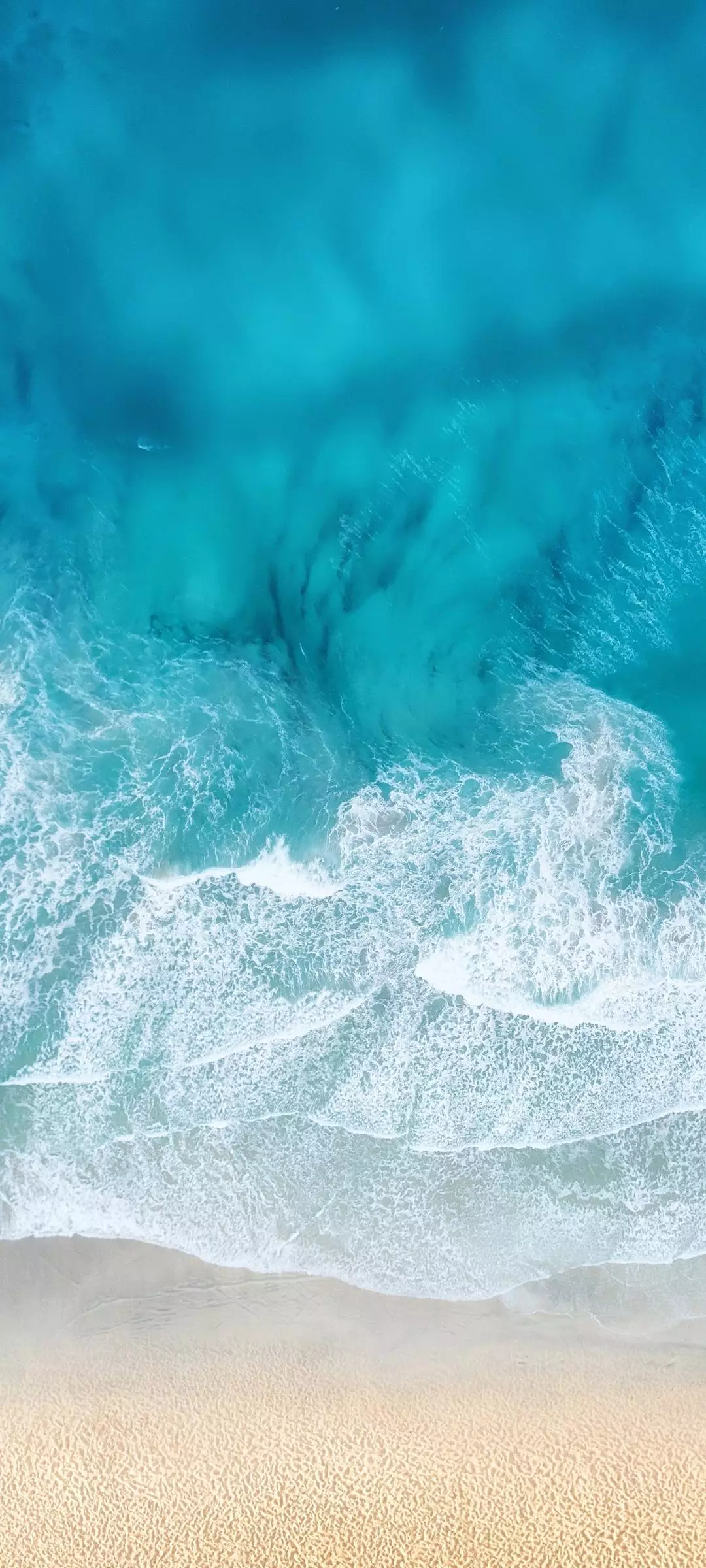 nature-772816.jpg