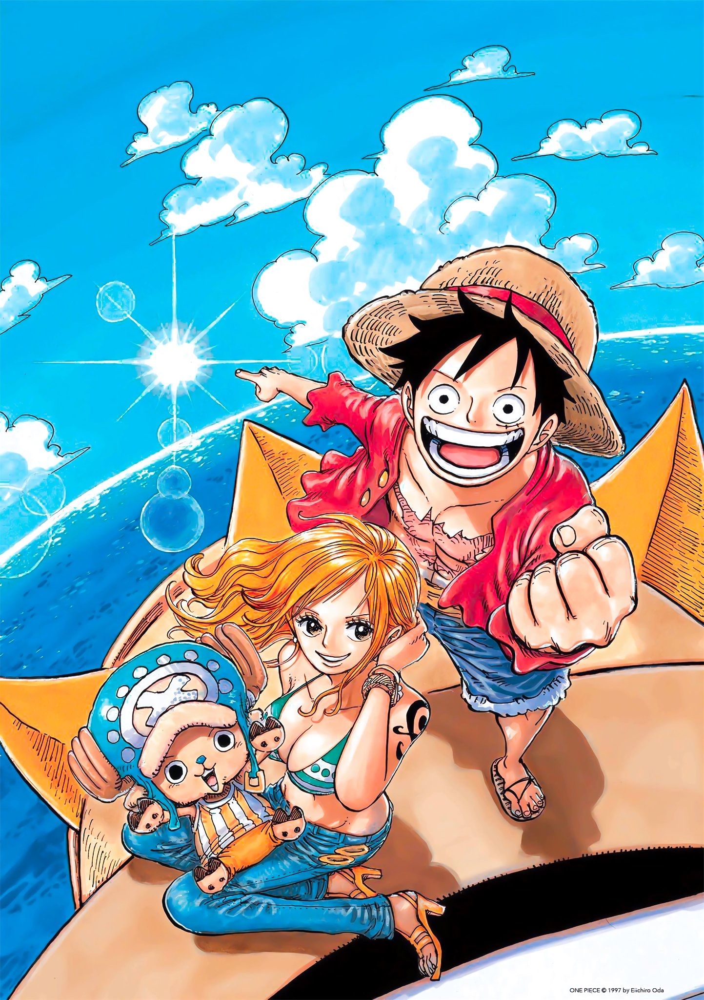 one_piece_pirate-425879.jpg