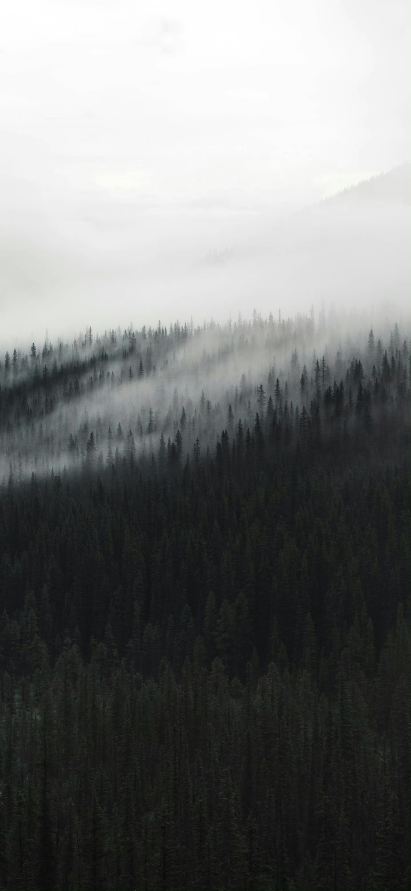 nature-674071.jpg
