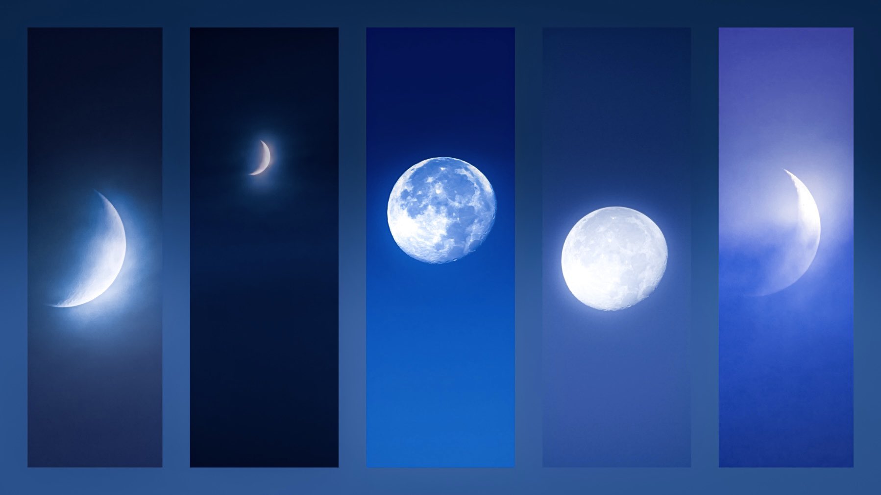 phases_moon-453887.jpg