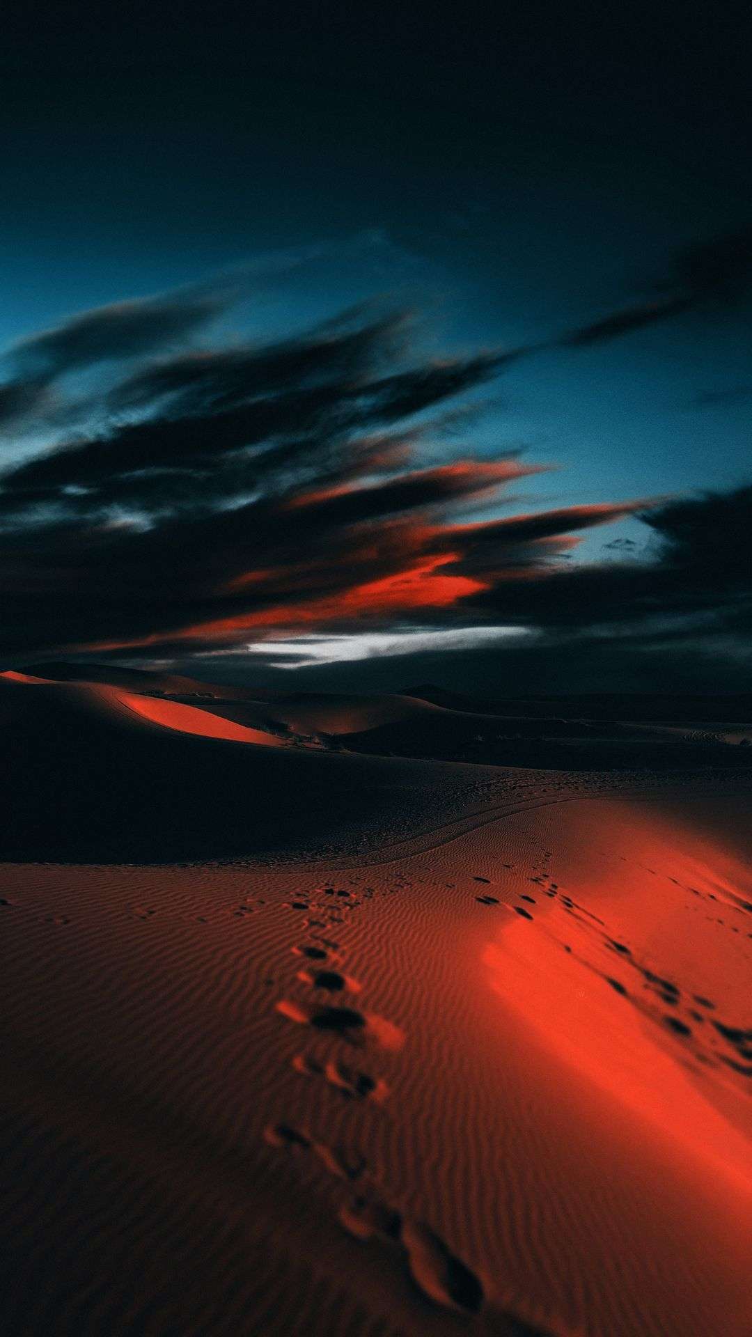 nature-494072.jpg