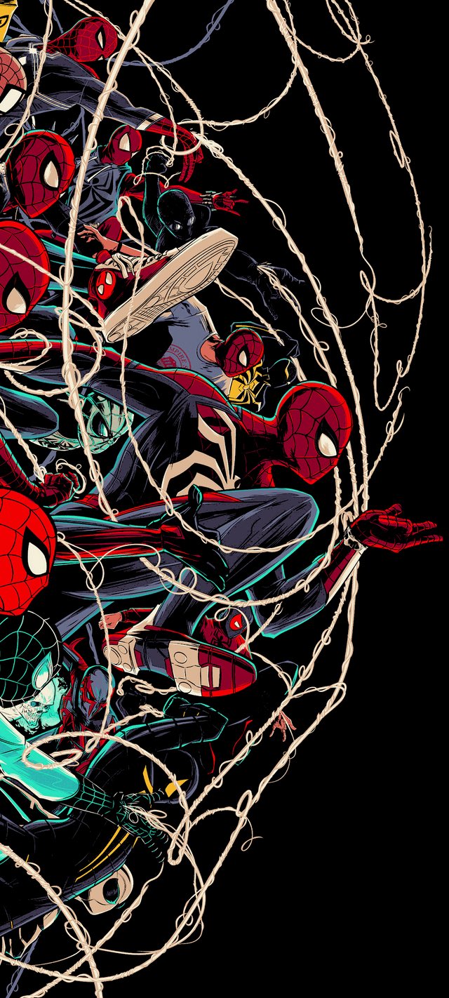 spider_spider_spider-768295.jpg