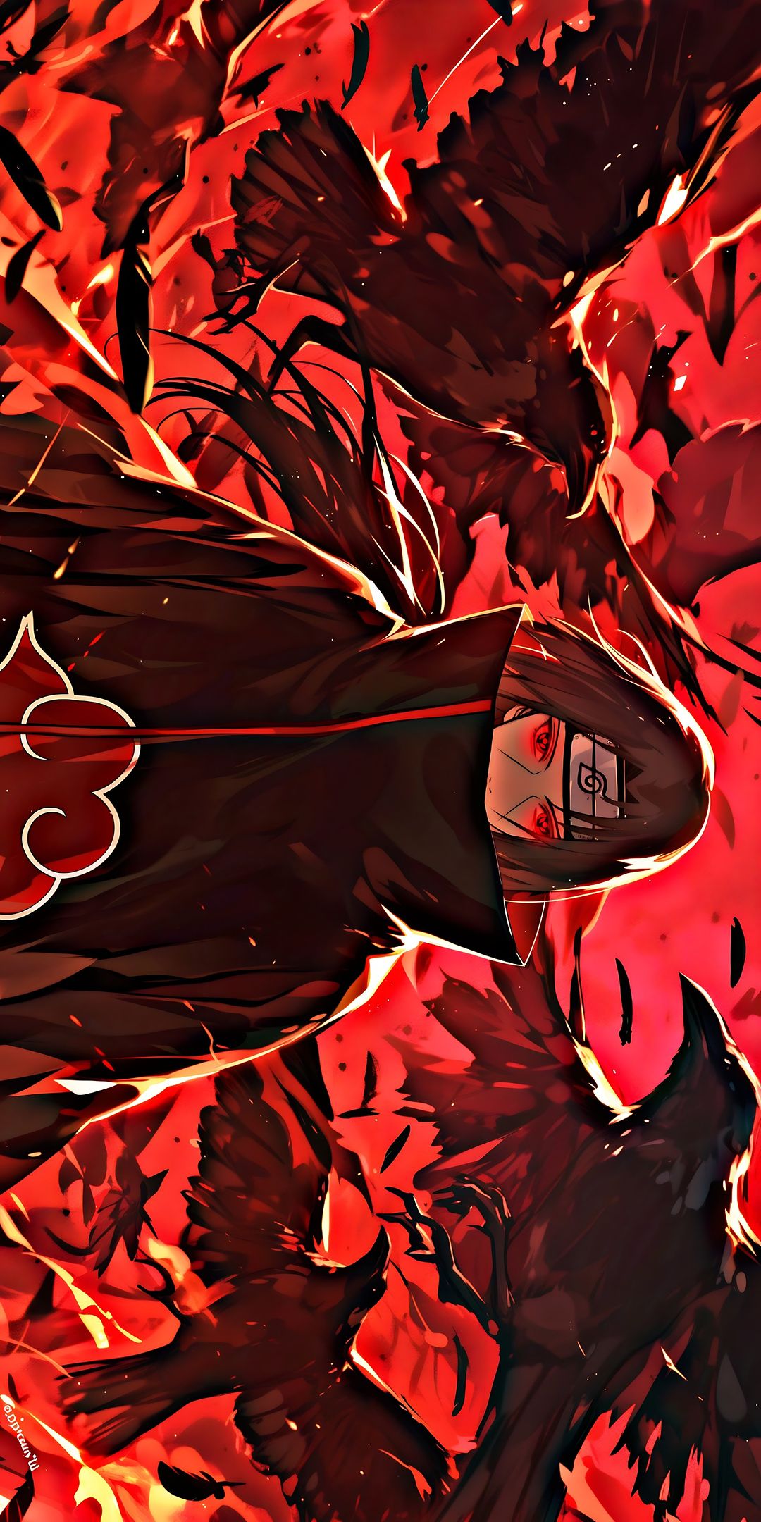 bunch_red_black-156209.jpg