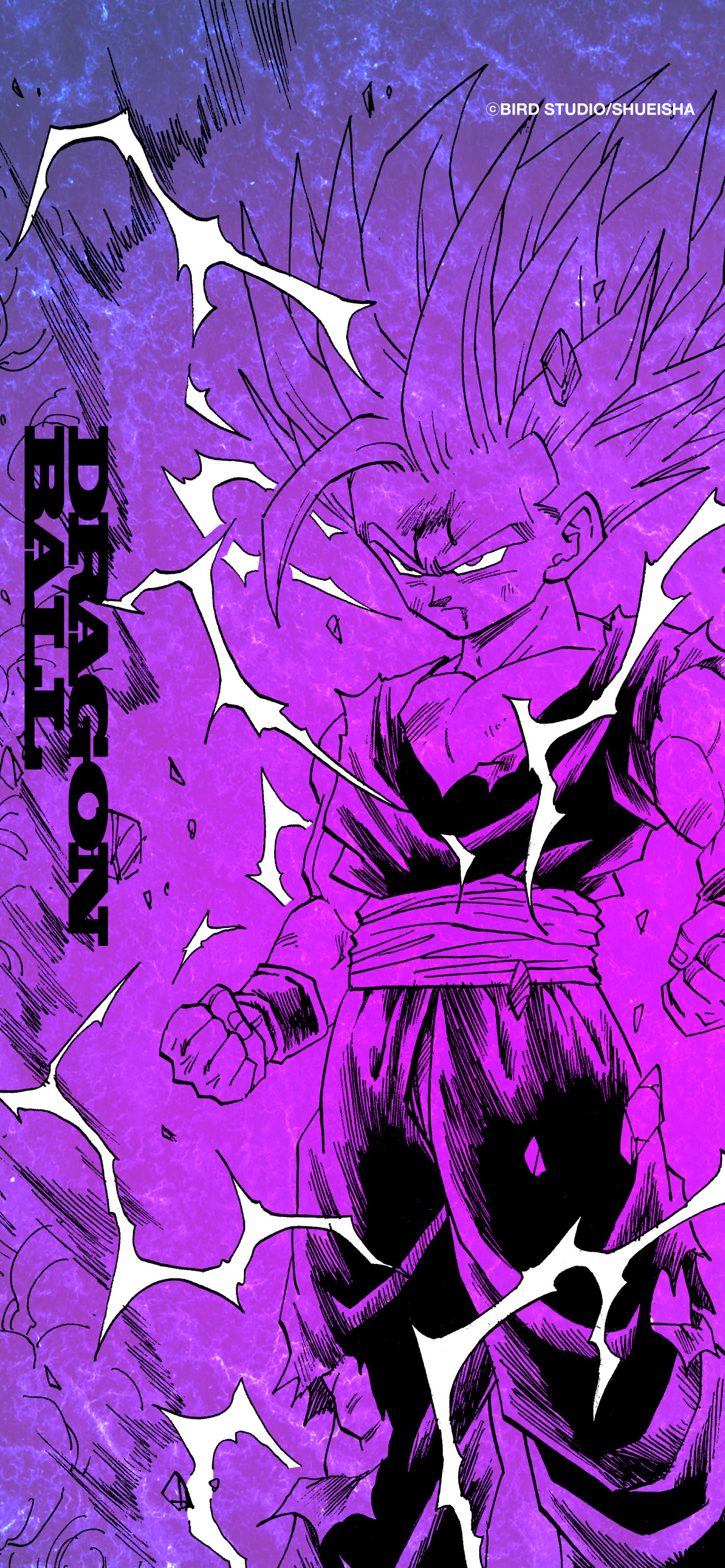 dragon_ball_vol-186168.jpg