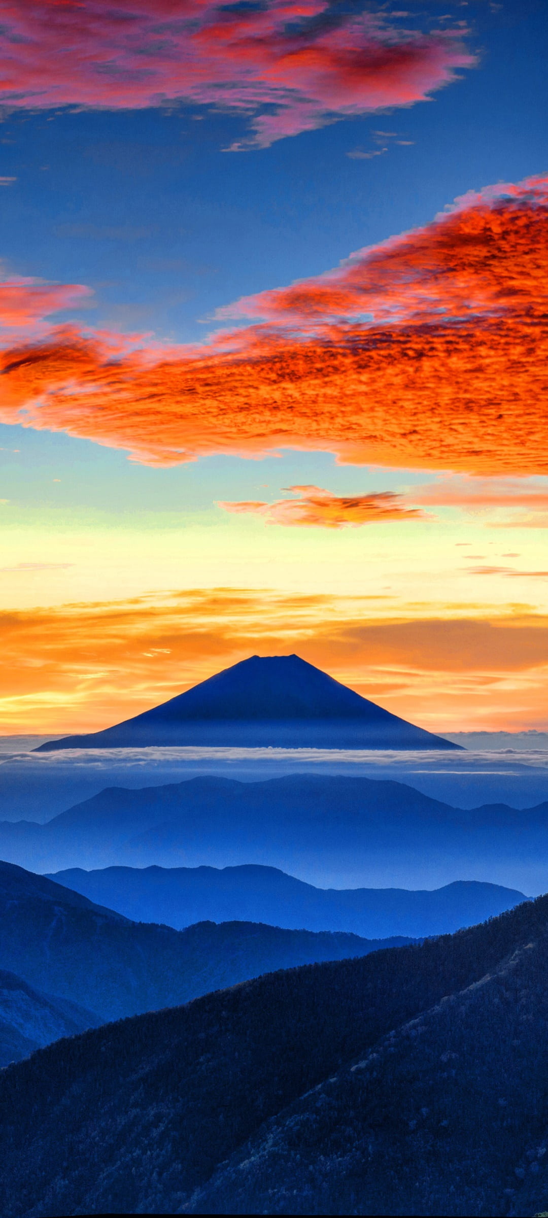 nature-685838.jpg