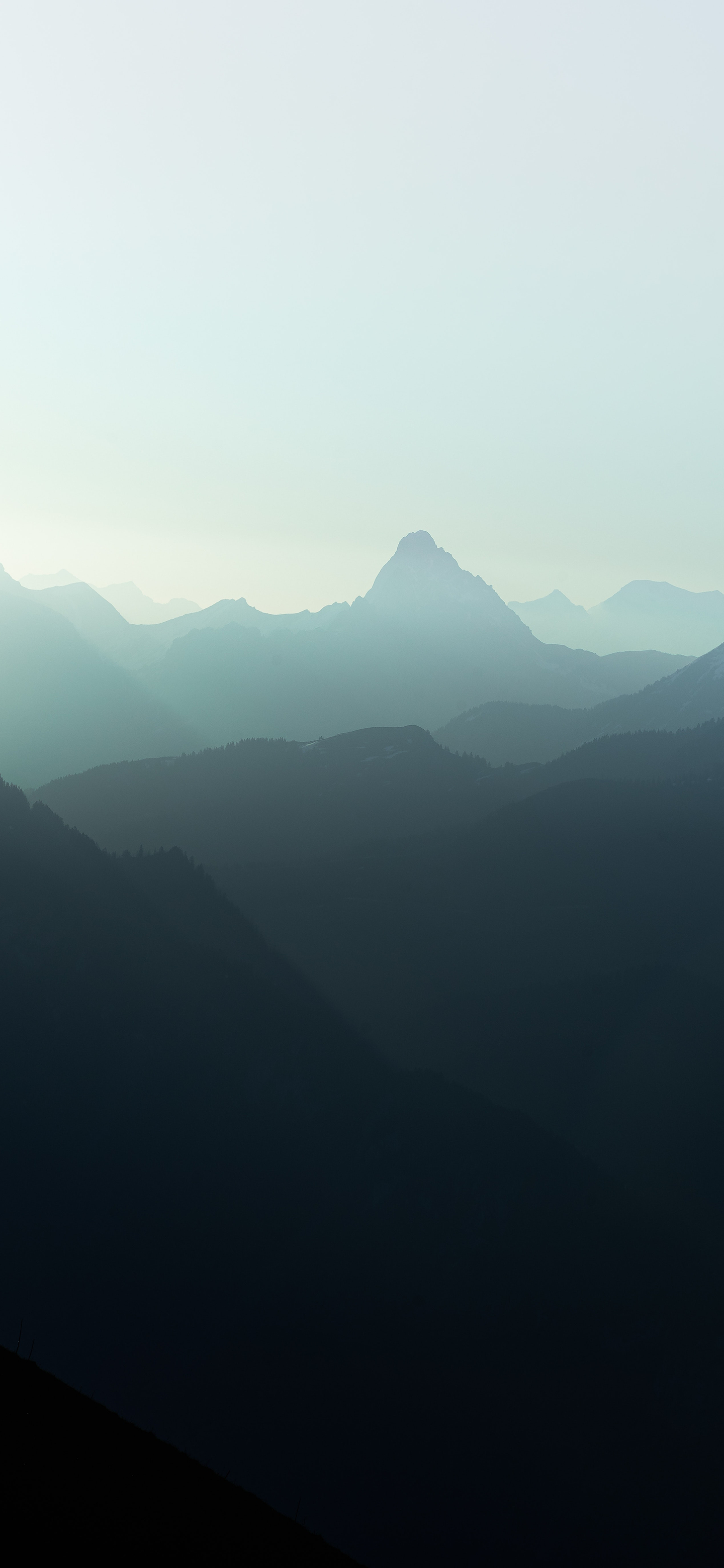 nature-507331.jpg