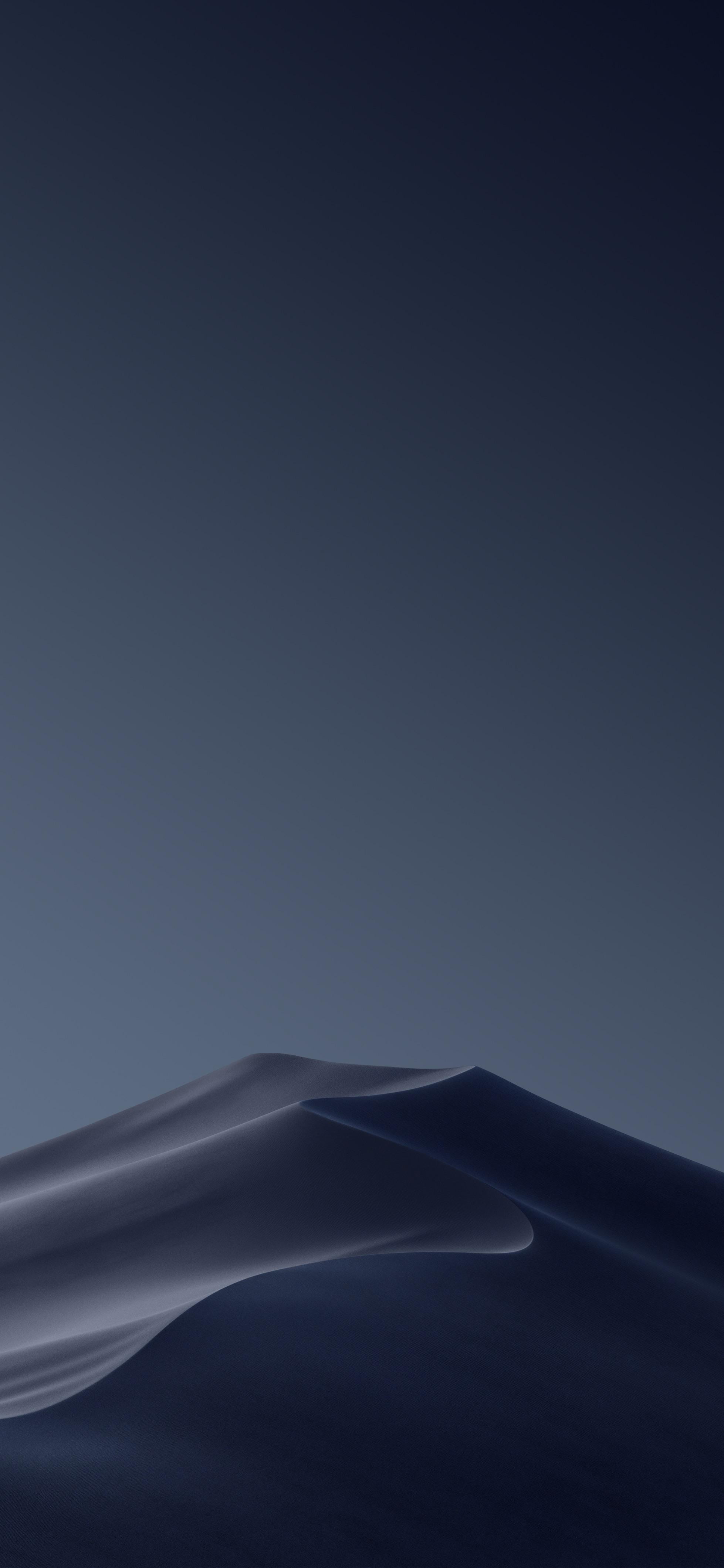 nature-099119.jpg