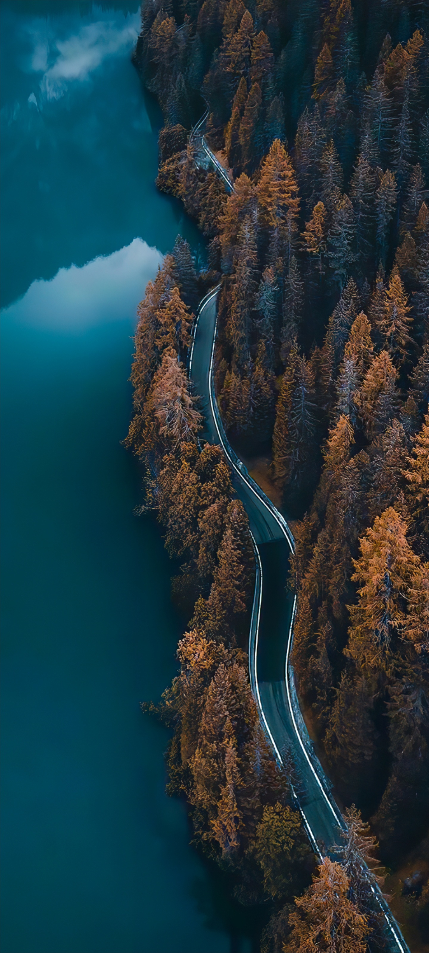 nature-361411.jpg
