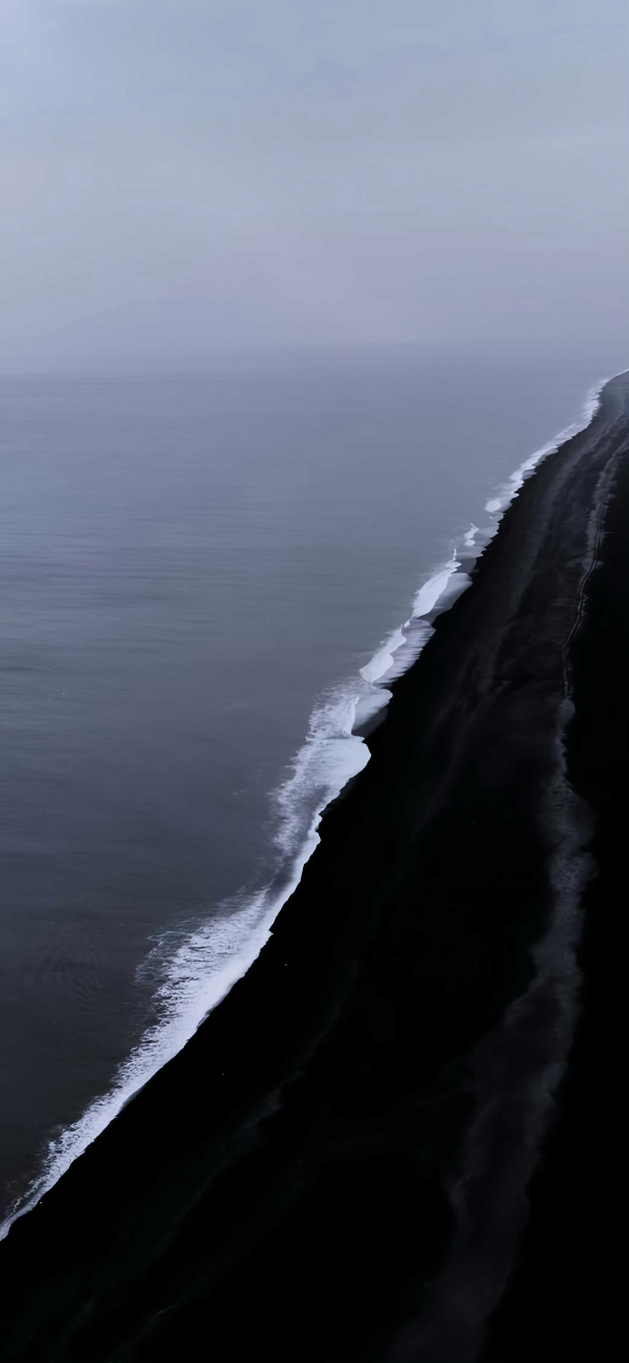 nature-625631.jpg