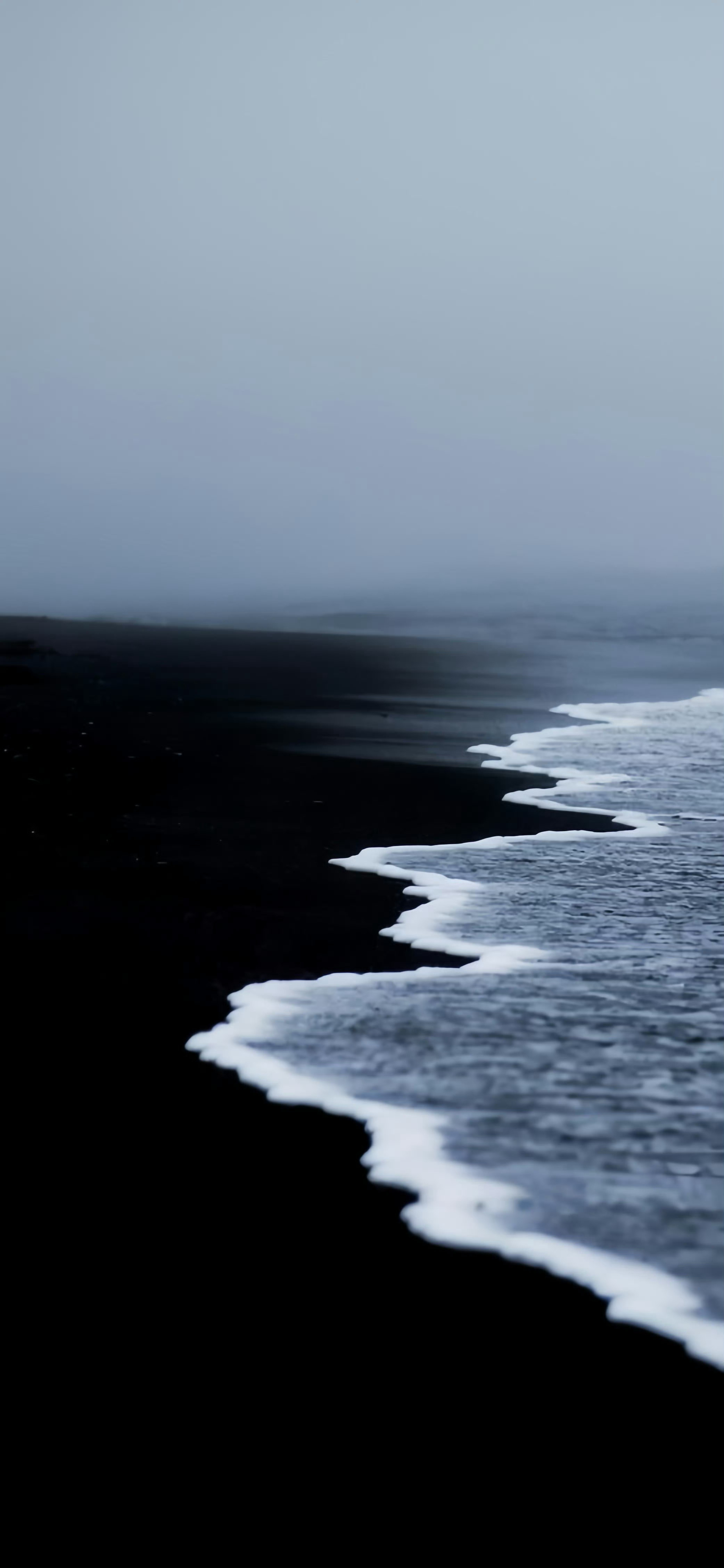 nature-440930.jpg