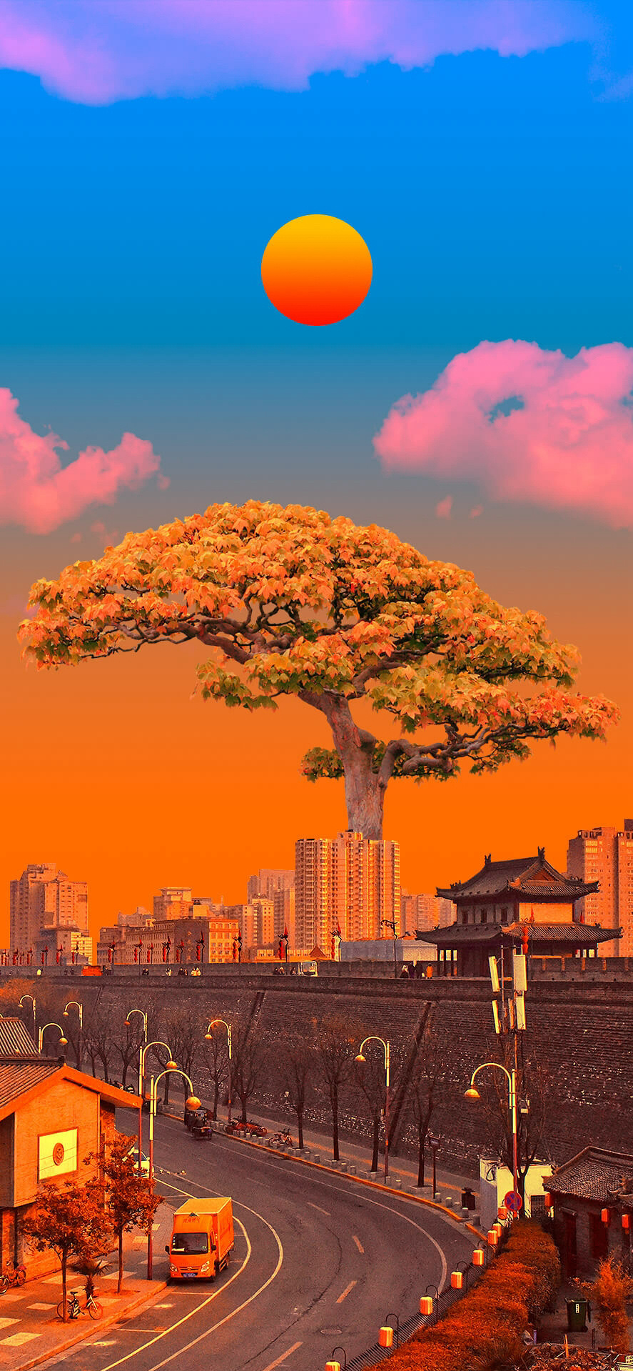 nature-353951.jpg